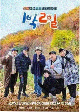 旷野厨房 美食综艺在线观看