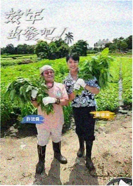 周末逃跑计划 旅行综艺在线观看
